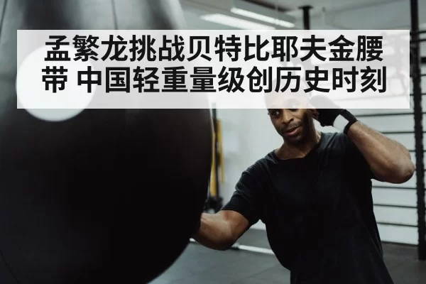 boxer punching heavy bag