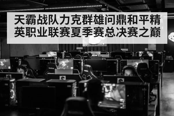 天霸战队力克群雄问鼎和平精英职业联赛夏季赛总决赛之巅