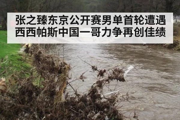 张之臻东京公开赛男单首轮遭遇西西帕斯中国一哥力争再创佳绩