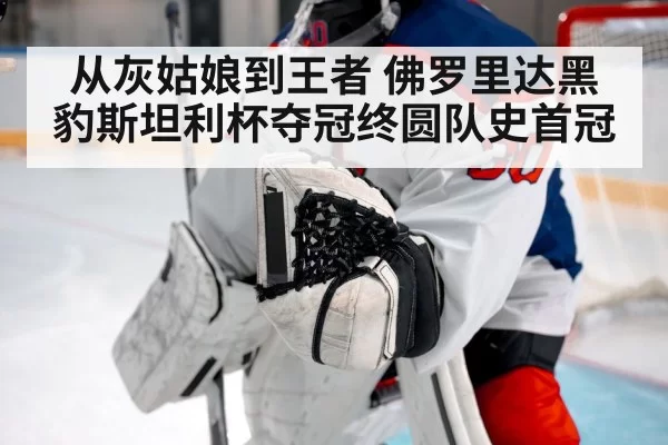 从灰姑娘到王者 佛罗里达黑豹斯坦利杯夺冠终圆队史首冠